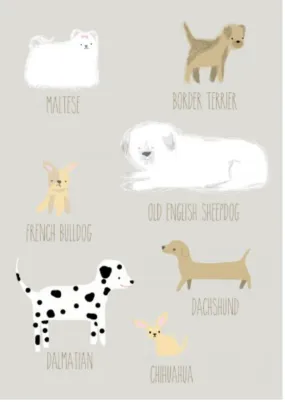 Greeting Card - Dogs JM 123